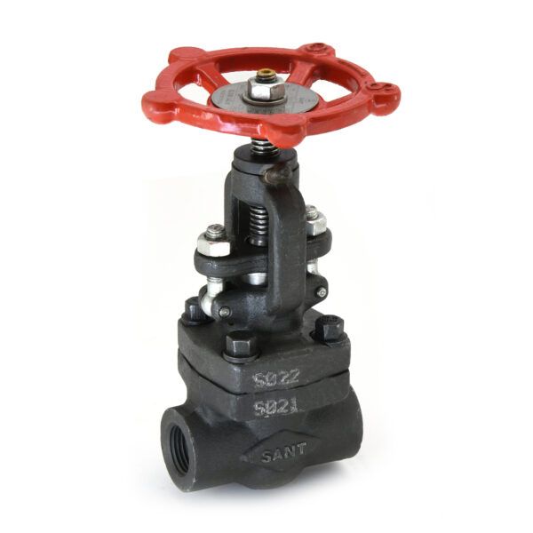 Sant Forged Steel Globe Valve FSV 2B