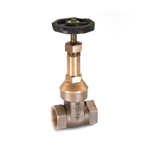 Sant Bronze Gate Valve Rising Stem IS 3