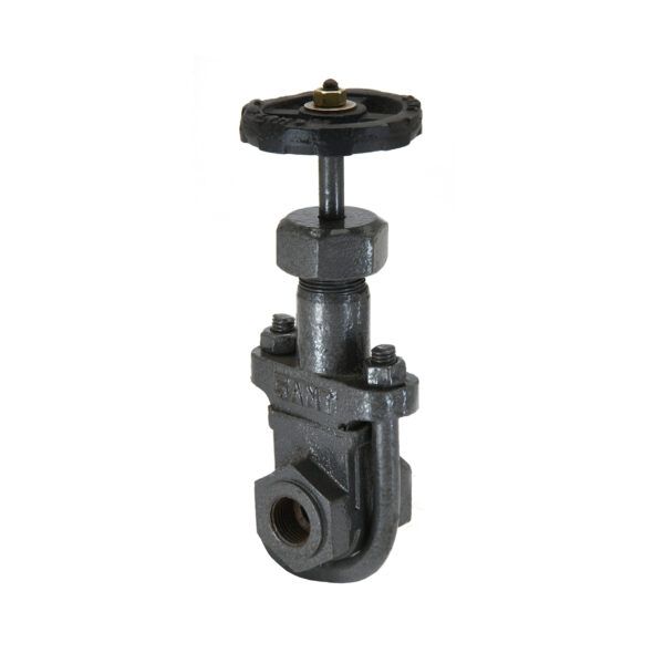 Sant C.I. Gate Valve (All Iron) CI 13